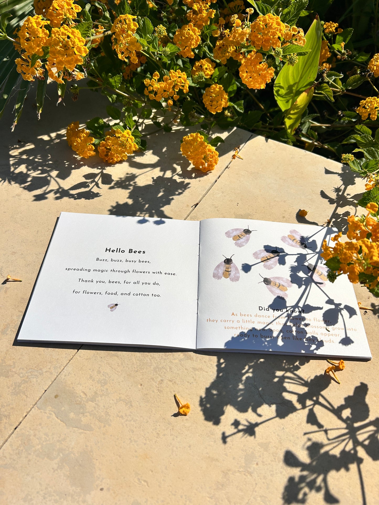 The Play Dress - OCHRE