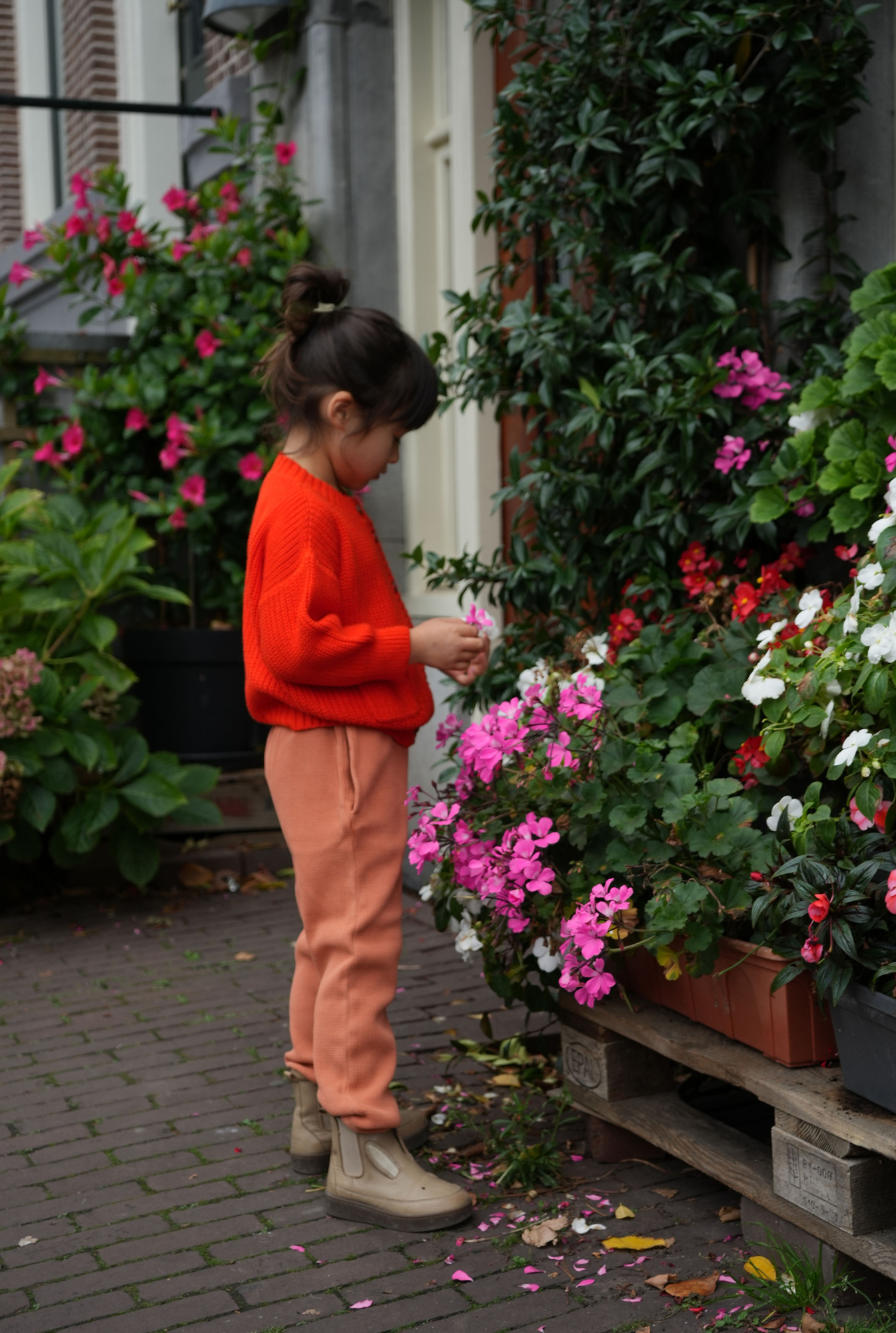 The Tanguis Cotton Cardigan - JOYFUL POPPY