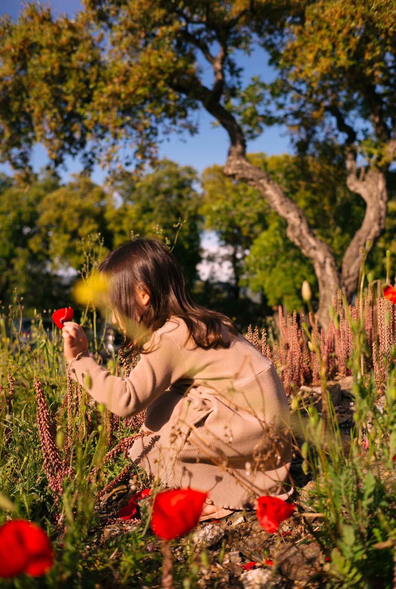 3 years old playing in the field and wearing breathable, organic cotton long sleeve dress in ochre.
