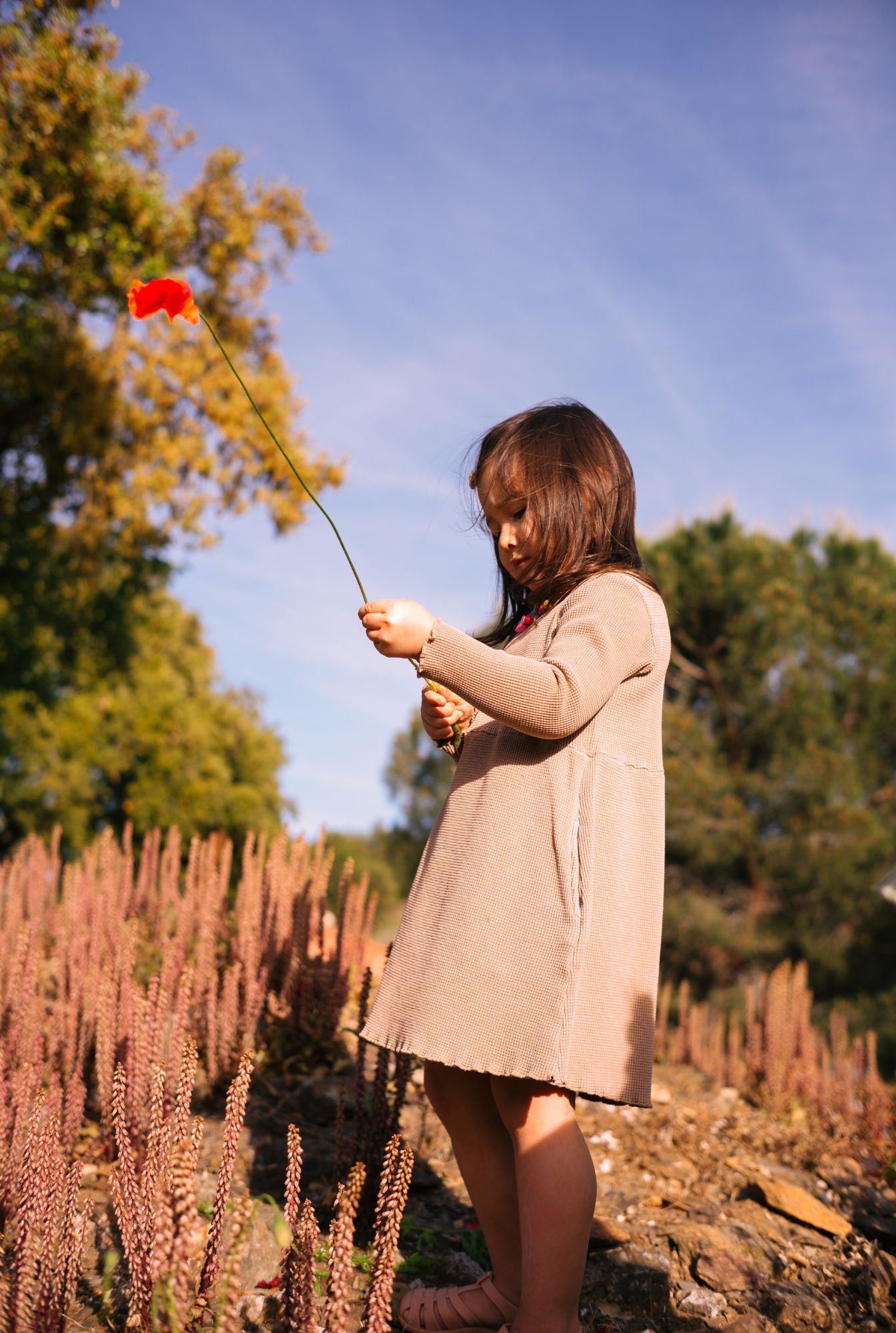 3 years old playing in the field and wearing breathable, organic cotton long sleeve dress in ochre.