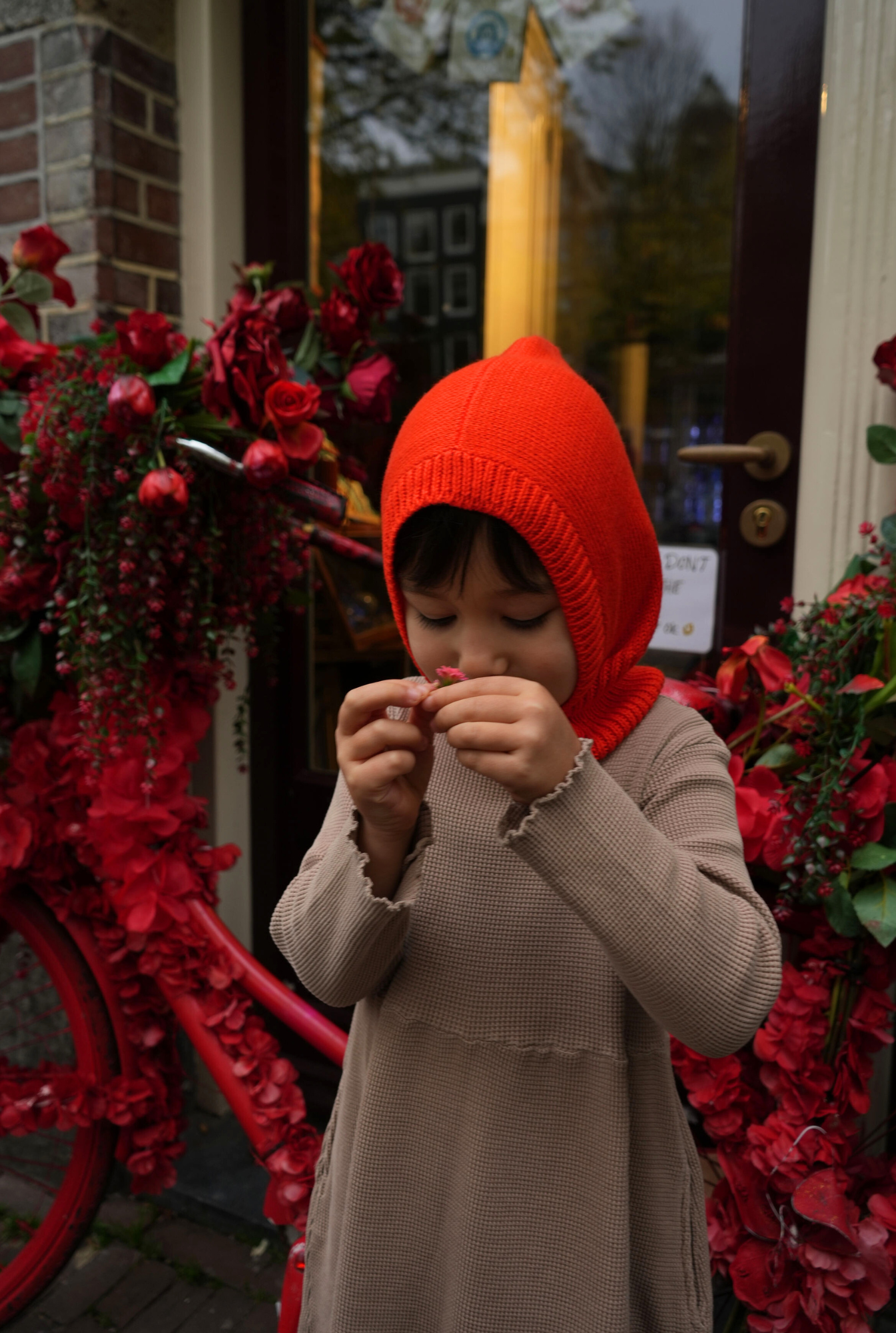 The Tanguis Cotton Balaclava - JOYFUL POPPY