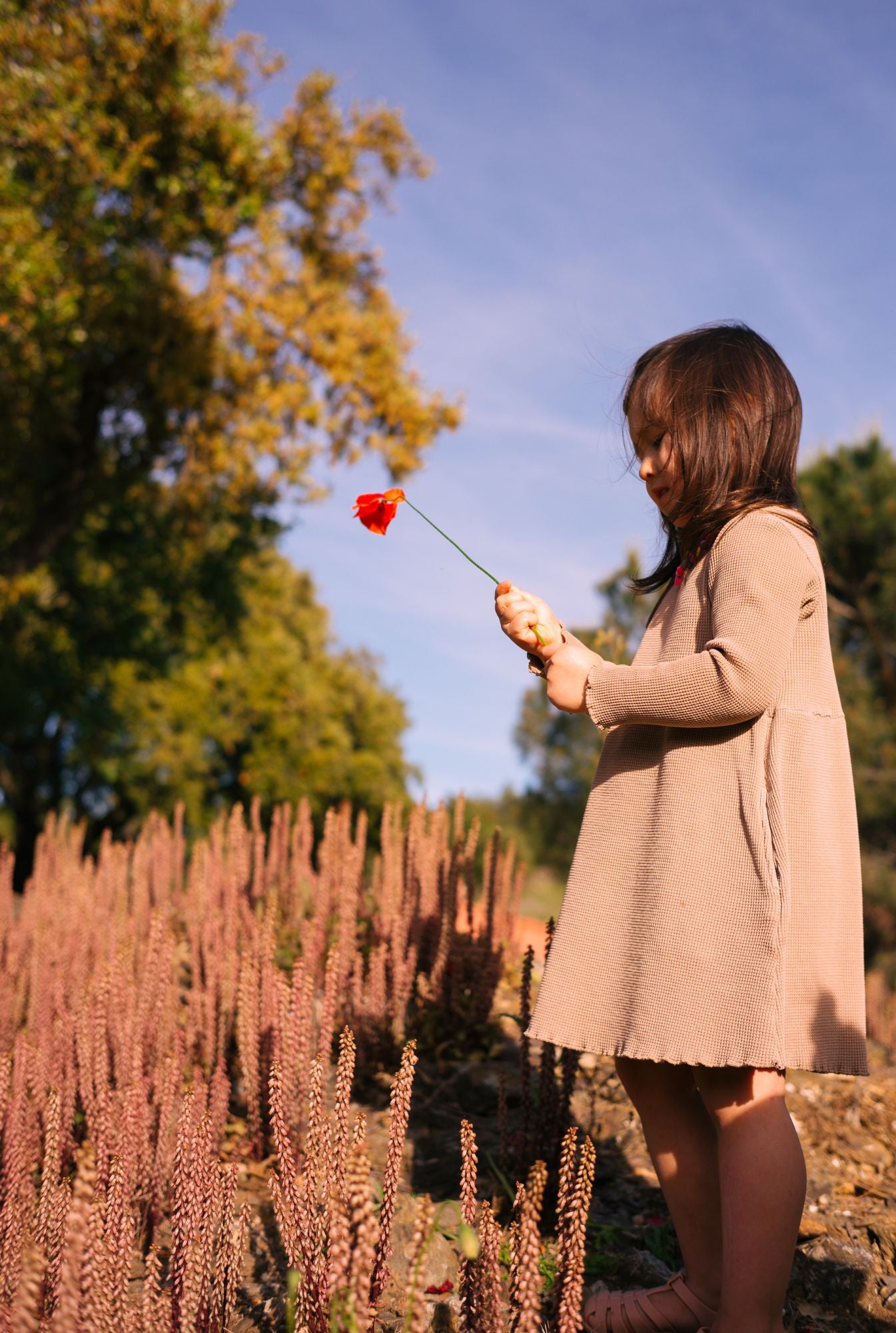 3 years old playing in the field and wearing breathable, organic cotton long sleeve dress in ochre.