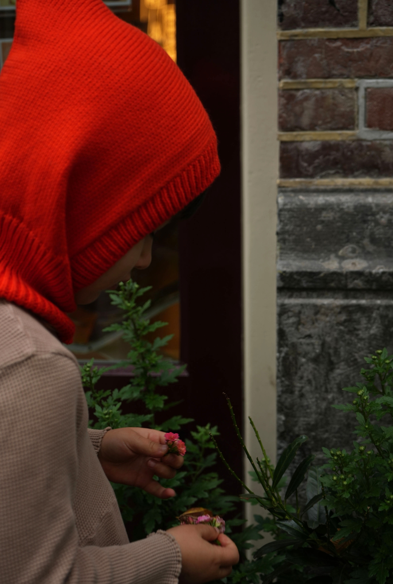 The Tanguis Cotton Balaclava - JOYFUL POPPY