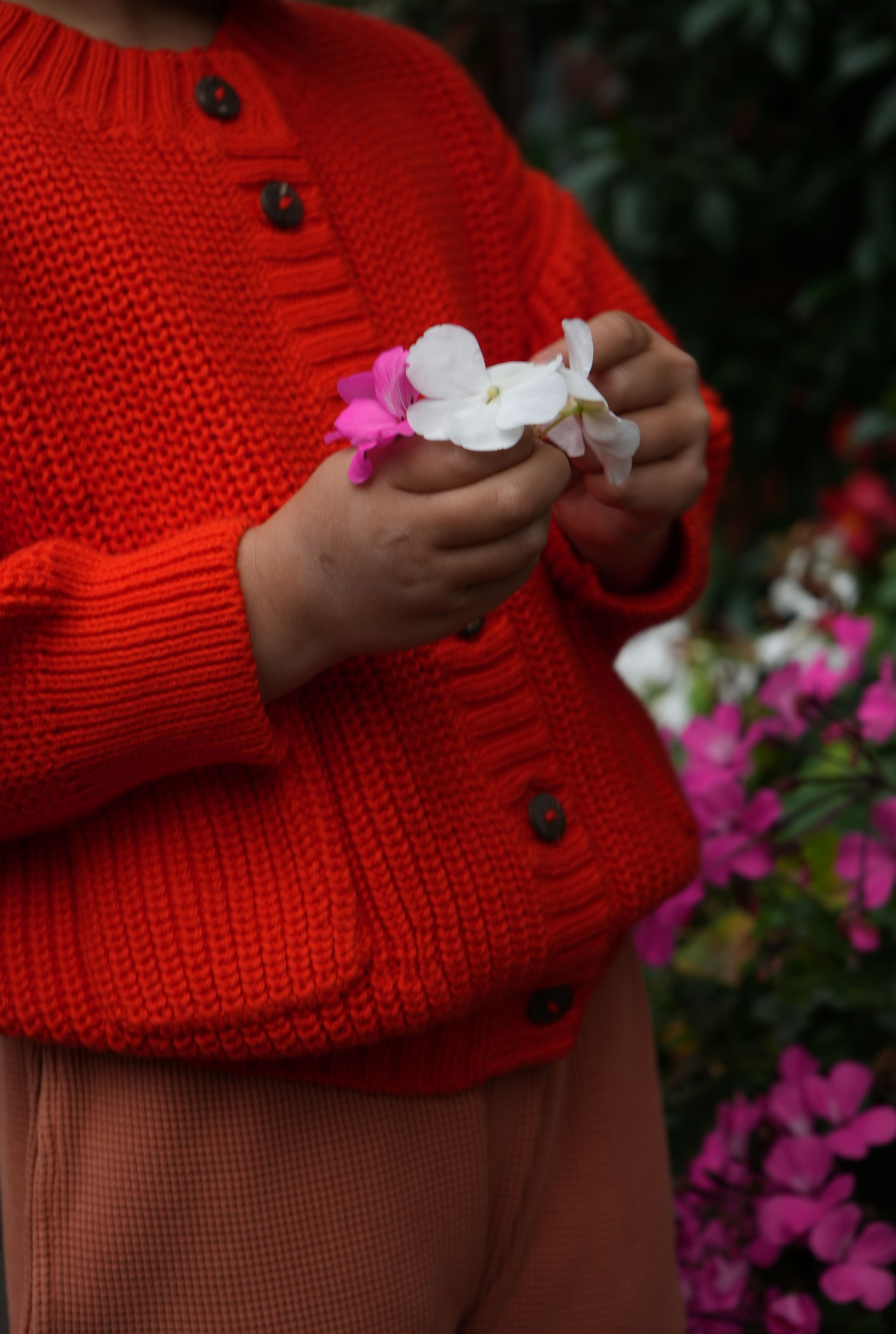 The Tanguis Cotton Cardigan - JOYFUL POPPY