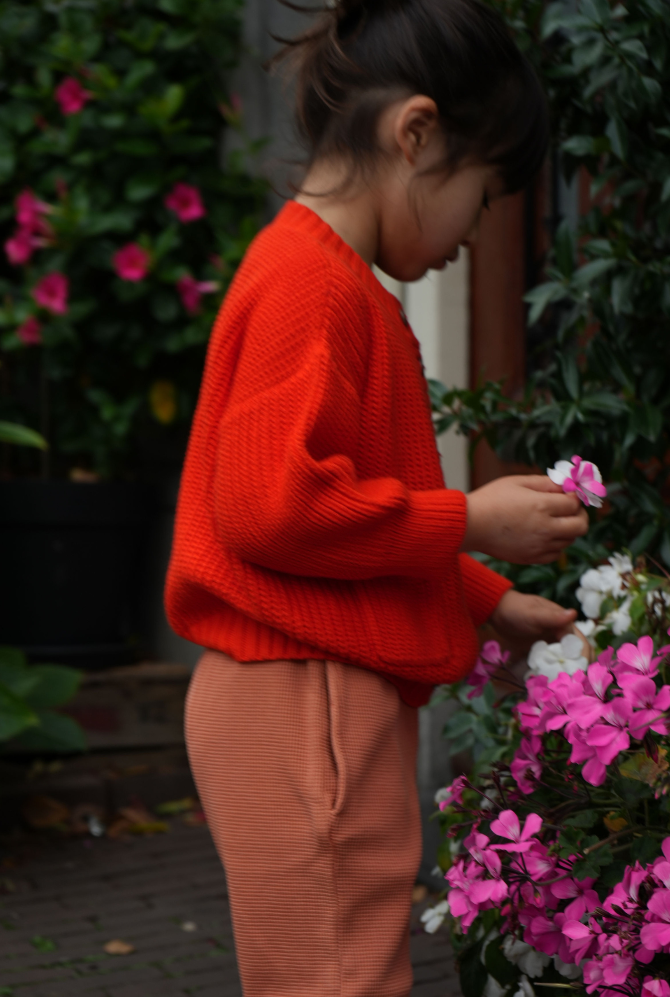 The Tanguis Cotton Cardigan - JOYFUL POPPY