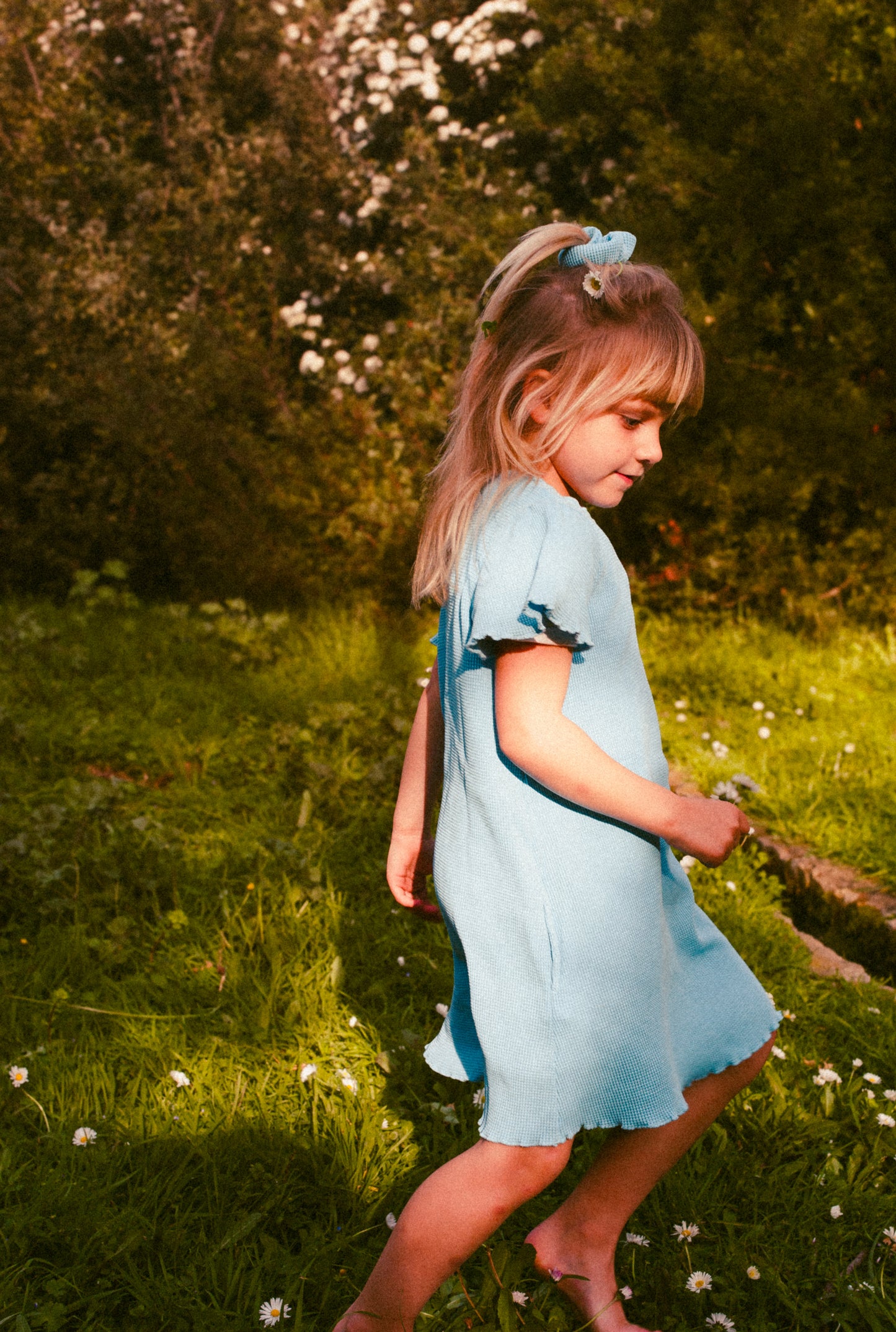 A little girl in the field playing with flowers. She is wearing a beautiful blue summer dress made from 100% organic cotton.