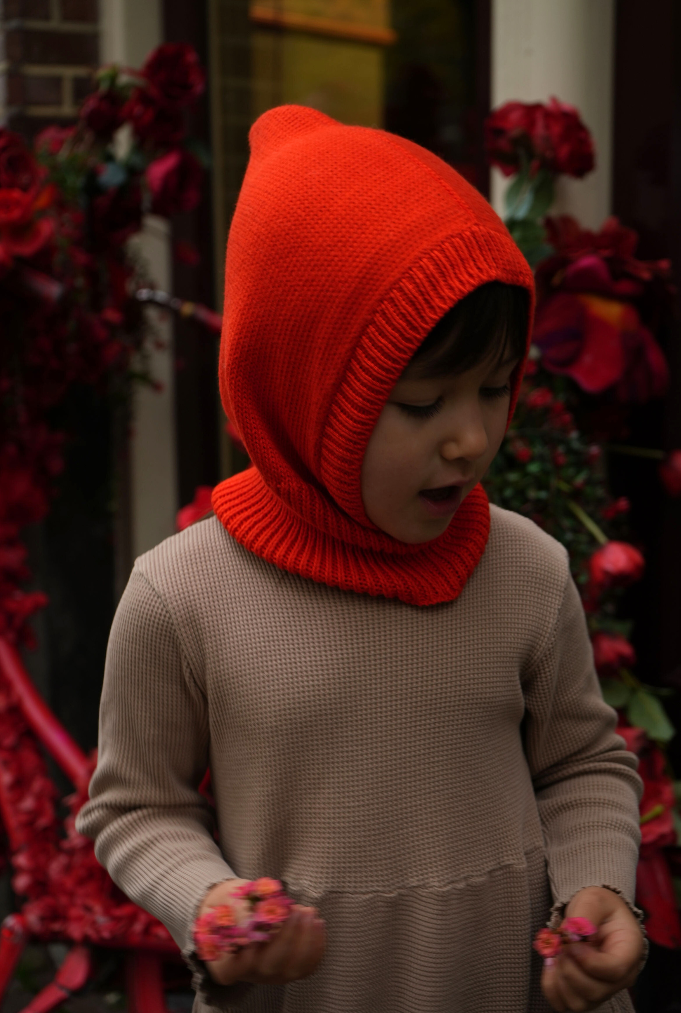 The Tanguis Cotton Balaclava - JOYFUL POPPY